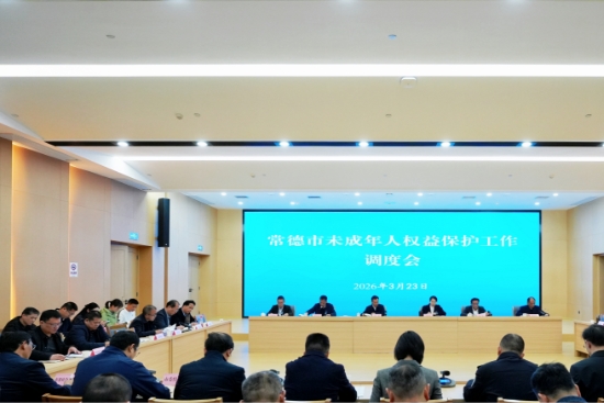 携手共治，护航“未”来，全市未成年人权益保护工作调度会召开